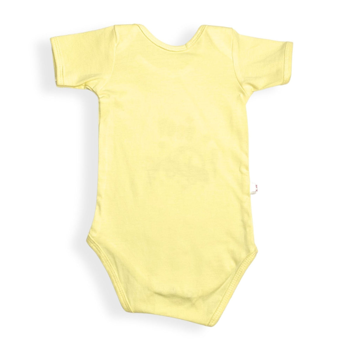 Cotton Baby Romper Bodysuits – Pack of 2 or 3 — product view